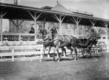 Horse Shows - Team Driven By General Nelson A. Miles, Left, with P. V. Degraw, 1912. Creator: Harris & Ewing