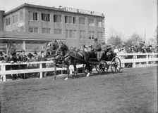 Horse Shows - Teams, 1911. Creator: Harris & Ewing