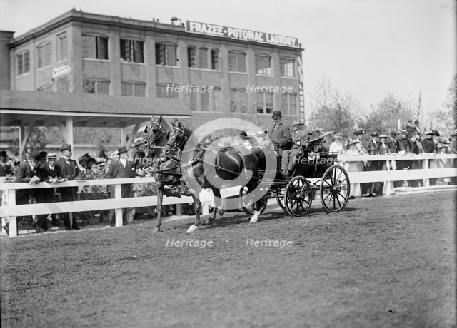 Horse Shows - Teams, 1911. Creator: Harris & Ewing.