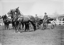 Horse Shows - Teams, 1911. Creator: Harris & Ewing