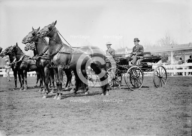 Horse Shows - Teams, 1911. Creator: Harris & Ewing.