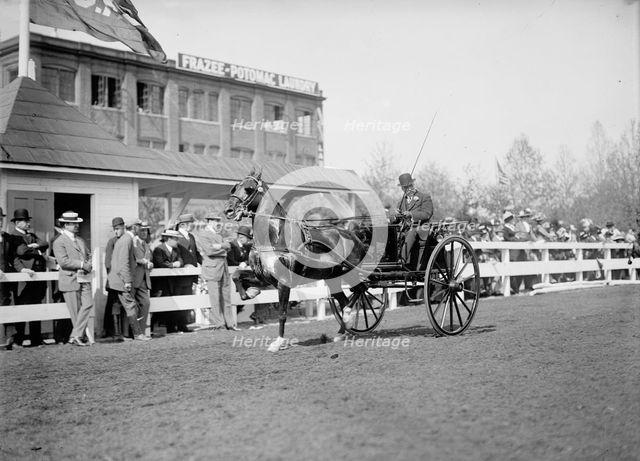 Horse Shows - Unidentified Men, Driving, 1911. Creator: Harris & Ewing.