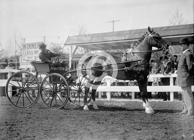 Horse Shows - Unidentified Men, Driving, 1911. Creator: Harris & Ewing.