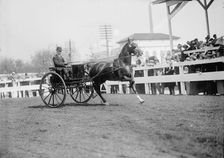 Horse Shows - Unidentified Men, Driving, 1911. Creator: Harris & Ewing