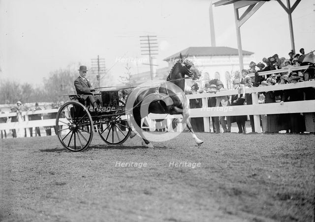 Horse Shows - Unidentified Men, Driving, 1911. Creator: Harris & Ewing.