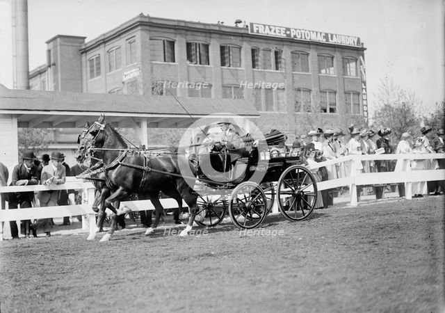 Horse Shows - Unidentified Men, Driving, 1911. Creator: Harris & Ewing.