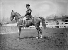 Horse Shows - Unidentified Men, Mtd. Or Hurdling, 1911. Creator: Harris & Ewing