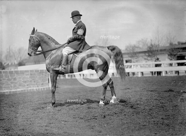 Horse Shows - Unidentified Men, Mtd. Or Hurdling, 1911. Creator: Harris & Ewing.