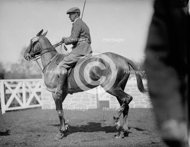Horse Shows - Unidentified Men, Mtd. Or Hurdling, 1911. Creator: Harris & Ewing.
