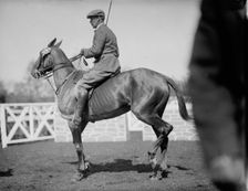 Horse Shows - Unidentified Men, Mtd. Or Hurdling, 1911. Creator: Harris & Ewing