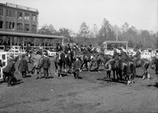 Horse Shows - Unidentified Entrant, 1912. Creator: Harris & Ewing