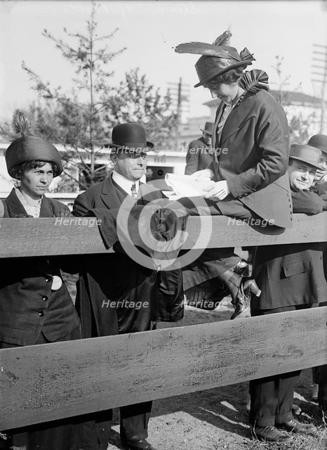 Horse Show, 1914. Creator: Harris & Ewing.