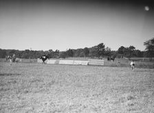 Horse show, East Hampton, Long Island., between 1933 and 1942. Creator: Arnold Genthe