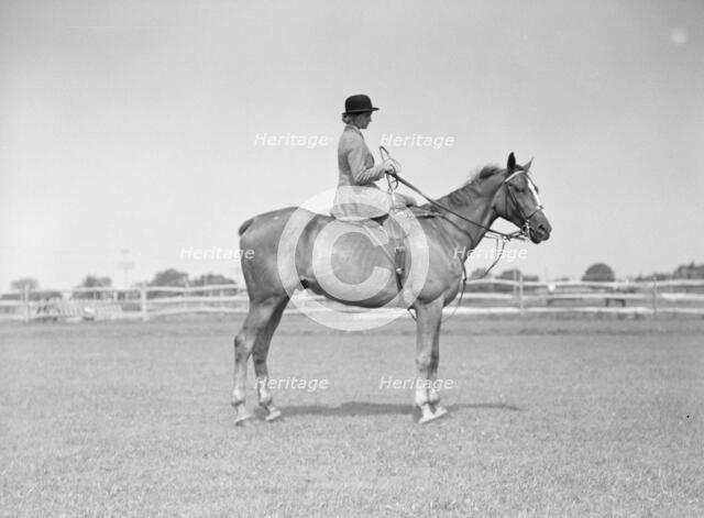 Horse show, East Hampton, Long Island., between 1933 and 1942. Creator: Arnold Genthe.