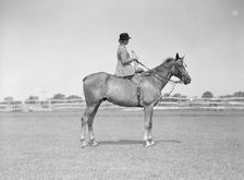 Horse show, East Hampton, Long Island., between 1933 and 1942. Creator: Arnold Genthe
