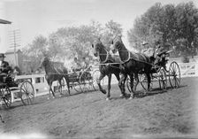 Horse Show - Miles, Nelson Appleton., Lt. Gen., U.S.A., 1911. Creator: Harris & Ewing