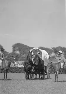 Horse show or show jumping event, between 1911 and 1942. Creator: Arnold Genthe