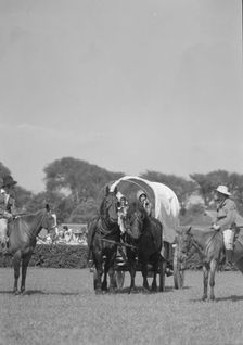 Horse show or show jumping event, between 1911 and 1942. Creator: Arnold Genthe