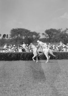 Horse show or show jumping event, between 1911 and 1942. Creator: Arnold Genthe