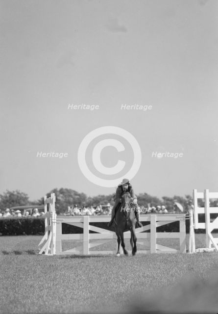 Horse show or show jumping event, between 1911 and 1942. Creator: Arnold Genthe.