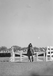 Horse show or show jumping event, between 1911 and 1942. Creator: Arnold Genthe