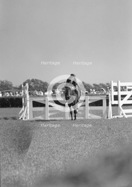 Horse show or show jumping event, between 1911 and 1942. Creator: Arnold Genthe.