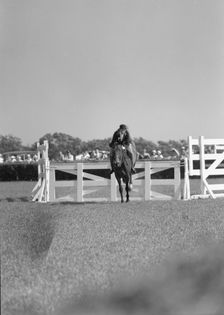 Horse show or show jumping event, between 1911 and 1942. Creator: Arnold Genthe