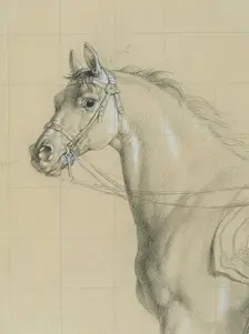 Horse study for "Archduke Karl with his staff in the Battle of Aspern", before 1828. Creator: Johann Peter Krafft