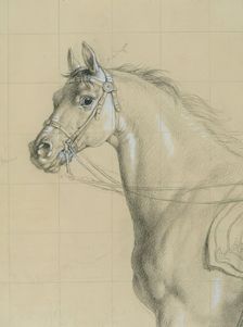 Horse study for "Archduke Karl with his staff in the Battle of Aspern", before 1828. Creator: Johann Peter Krafft
