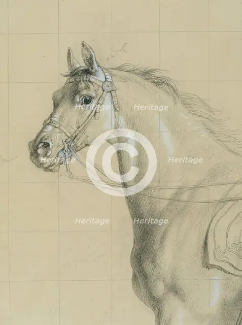 Horse study for "Archduke Karl with his staff in the Battle of Aspern", before 1828. Creator: Johann Peter Krafft.