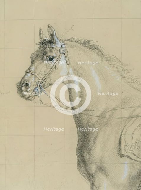 Horse study for "Archduke Karl with his staff in the Battle of Aspern", before 1828. Creator: Johann Peter Krafft.