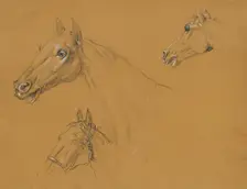 Horse study for "Archduke Karl with his staff in the Battle of Aspern", before 1817. Creator: Johann Peter Krafft