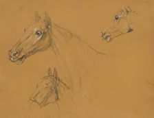 Horse study for "Archduke Karl with his staff in the Battle of Aspern", before 1817. Creator: Johann Peter Krafft