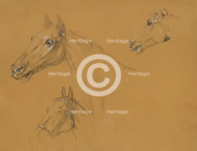 Horse study for "Archduke Karl with his staff in the Battle of Aspern", before 1817. Creator: Johann Peter Krafft.