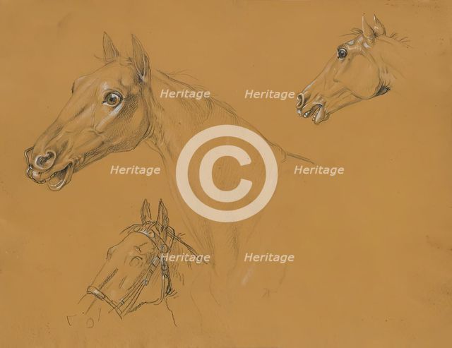 Horse study for "Archduke Karl with his staff in the Battle of Aspern", before 1817. Creator: Johann Peter Krafft.