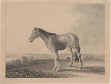 Horse standing on a field in profile to left, 1809. Creator: Adam von Bartsch