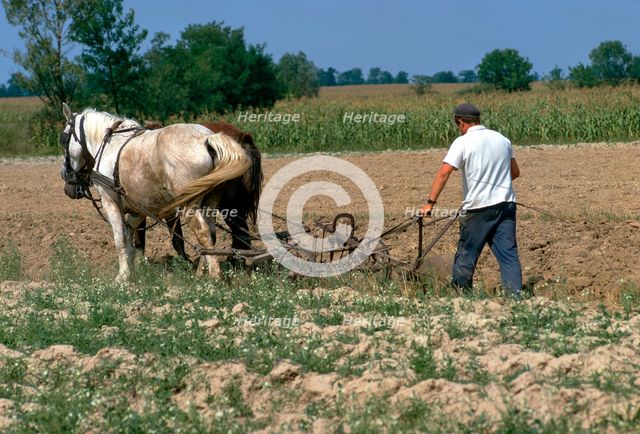 Horse ploughing in Hungary. Artist: CM Dixon Artist: Unknown