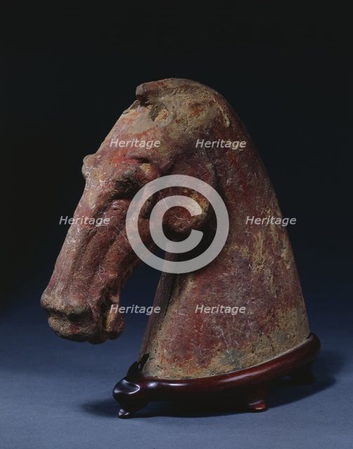 Horse's Head, 206 BC-AD 220. Creator: Unknown.