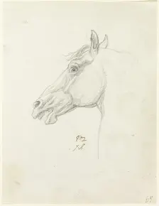 Horse's Head, c. 1810. Creator: Jacques-Louis David