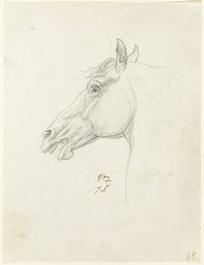 Horse's Head, c. 1810. Creator: Jacques-Louis David