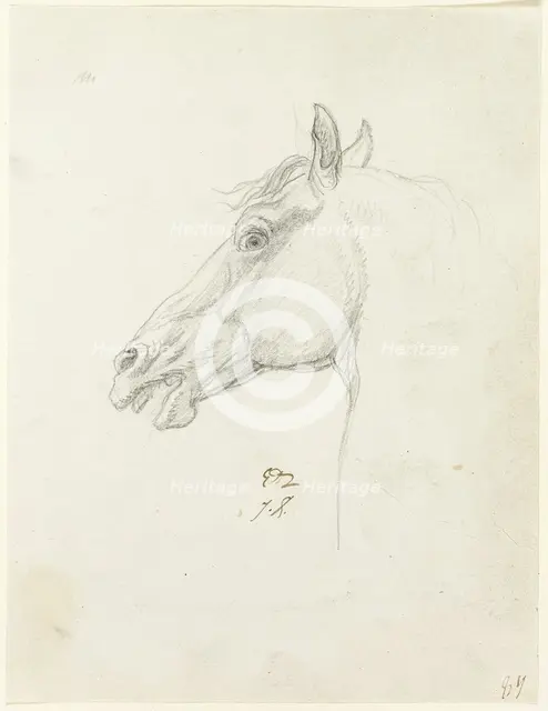 Horse's Head, c. 1810. Creator: Jacques-Louis David.