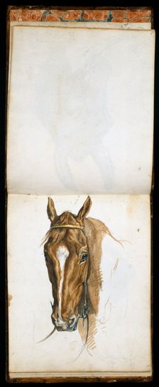 Horse's Head c1817-1873. Creator: Edwin Henry Landseer