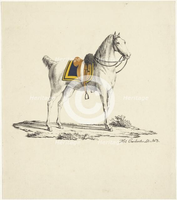 Horse with saddle and bridle, 1809-1854. Creator: Hermanus Carbentus.