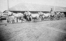 Horse team starting on trail to Chitina, between c1900 and 1927. Creator: Unknown