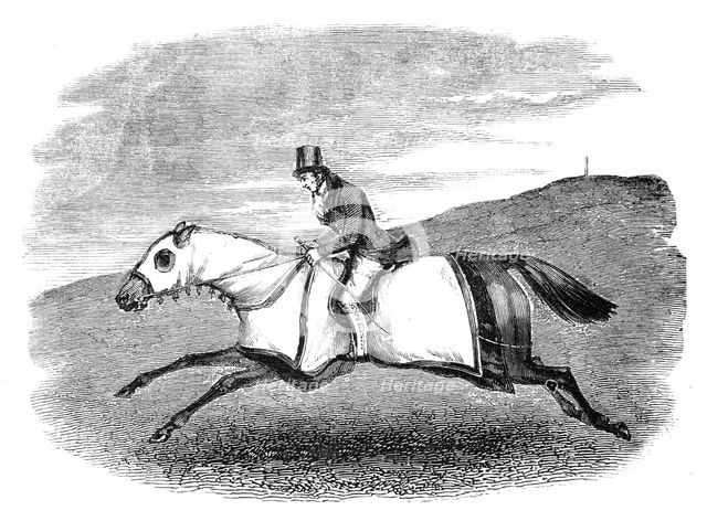 Horse-training, 1844. Creator: Unknown.