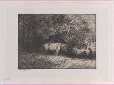 Horse Under a Tree Branch, 1846. Creator: Charles Emile Jacque
