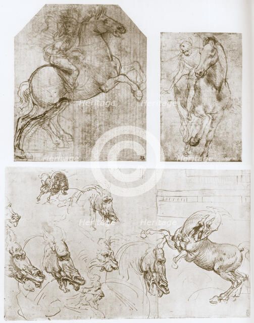 'Horseman', 1480-1481.  Artist: Leonardo da Vinci