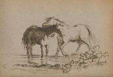 Horses 1903. Artist: Lady Diana Spencer
