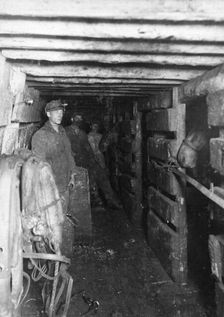 Horses at the slaughter, 1911. Creator: Kozlov