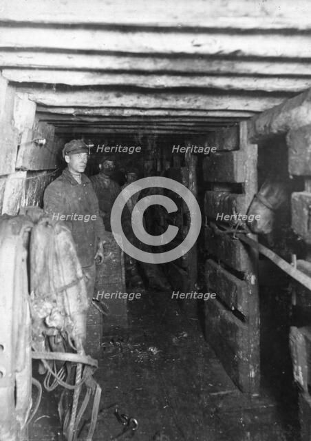 Horses at the slaughter, 1911. Creator: Kozlov.